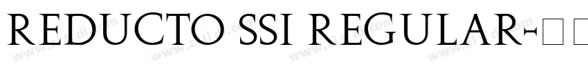 Reducto SSi Regular字体转换